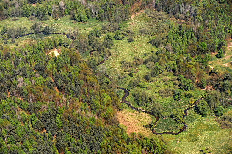 In der Wildnis verschwinden die Grenzen zwischen Nutzungsarten, hier an der Pulsnitz (Königsbrücker Heide). (Foto: Archiv Naturschutz LfULG, D. Synatzschke)