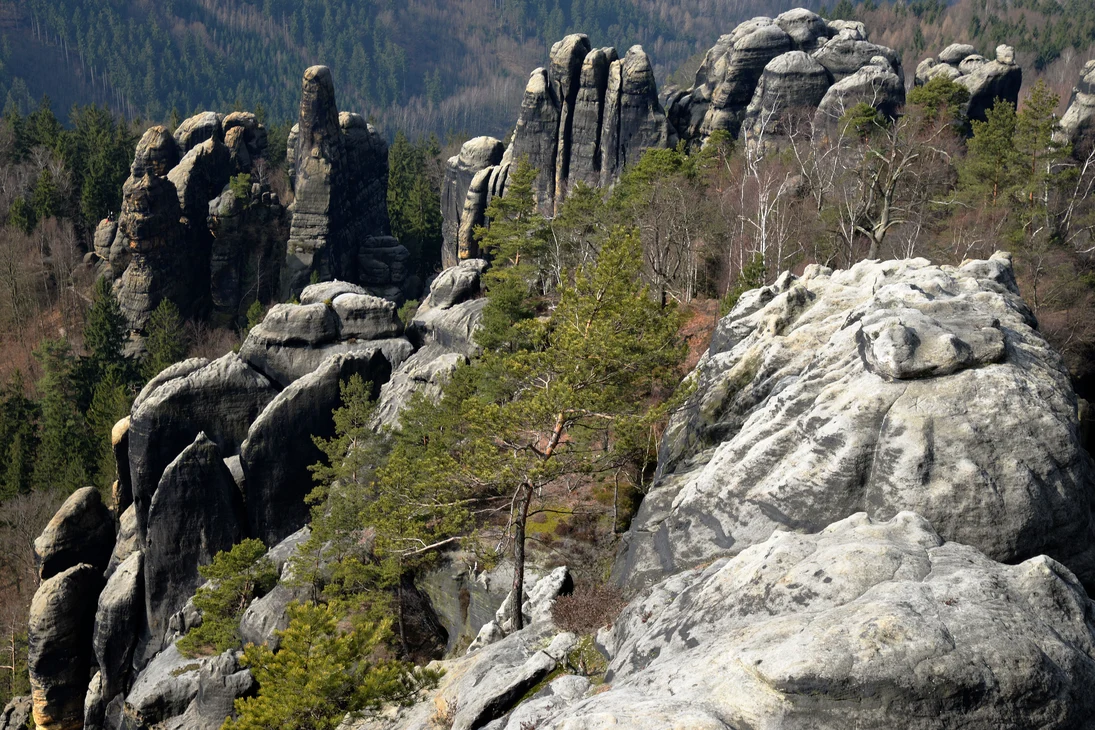 Schrammsteine im Elbsandsteingebirge. Das Elbsandsteingebirge, dessen deutscher Teil auch »Sächsische Schweiz« genannt wird, ist eine beeindruckende und einzigartige Felslandschaft in Sachsen.