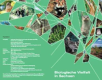 Flyer zur Biologischen Vielfalt in Sachsen 