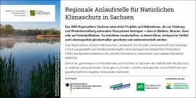 Die Flyerkarte stellt das Regionalbüro Sachsen mit seinen Leistungen und Zielen vor und informiert über die Kontaktmöglichkeiten.