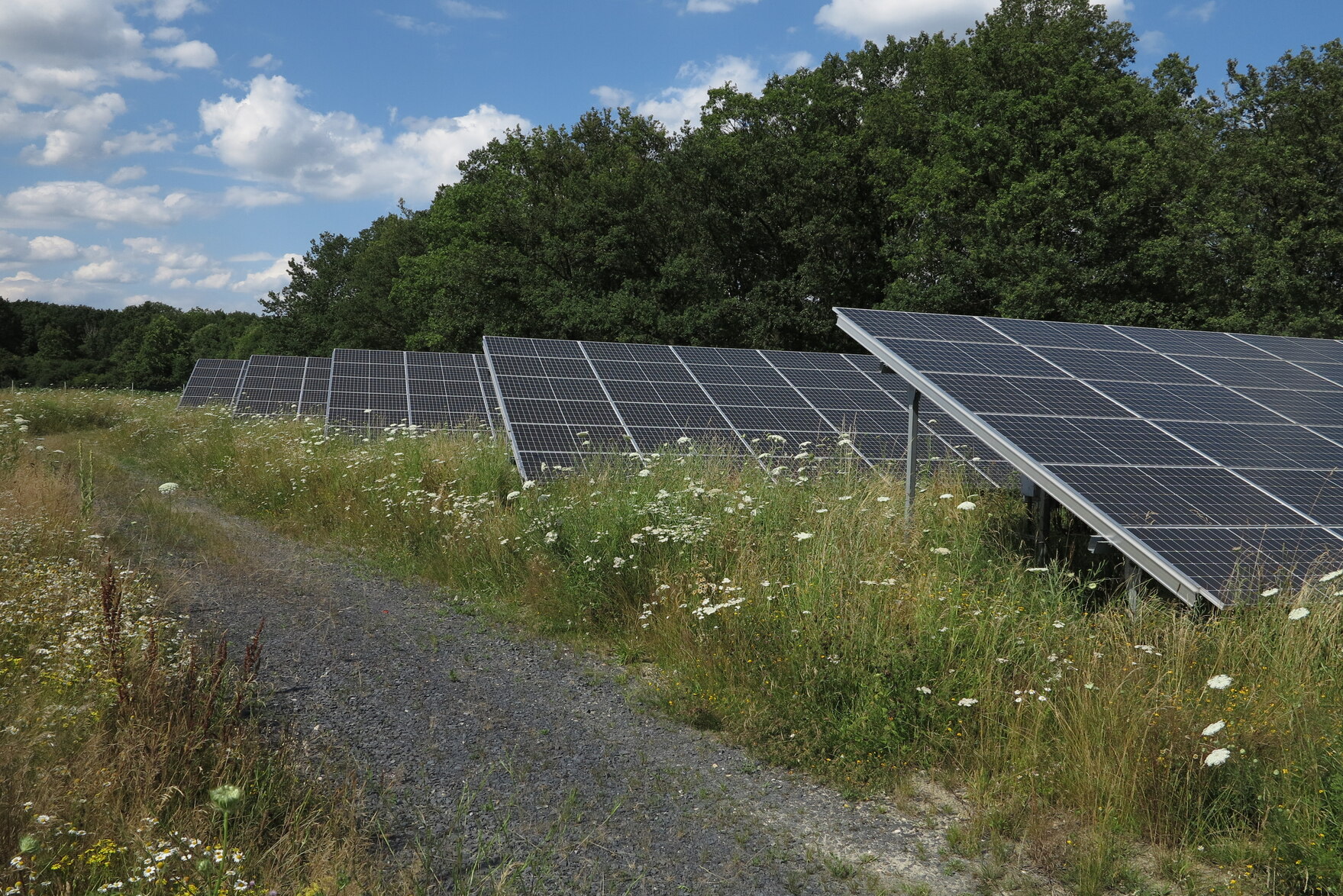 Freiflächensolaranlage