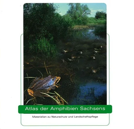 Deckblatt für den Atlas der Amphibien Sachsens, mit Illustration von Fröschen in einem Teich