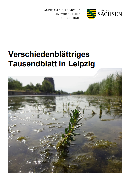 Zu sehen ist das Titelblatt des Berichtes. Das Titelbild zeigt einen aus dem Wasser herausragenden (emersen) Spross des Verschiedenblättrigen Tausendblattes.