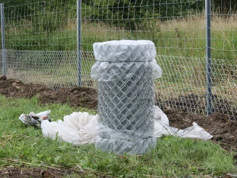 zeigt einen Zaun als Grabeschutz gegen den Biber