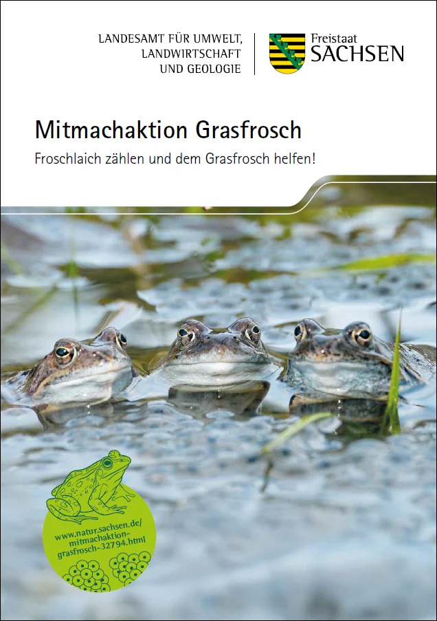 Titelseite Flyer Mitmachaktion Grasfrosch Titelseite Flyer Mitmachaktion Grasfrosch