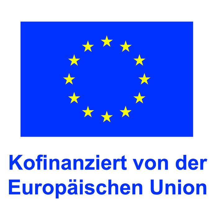 EU-Flagge mit Zusatz: Kofinanziert von der Europäischen Union