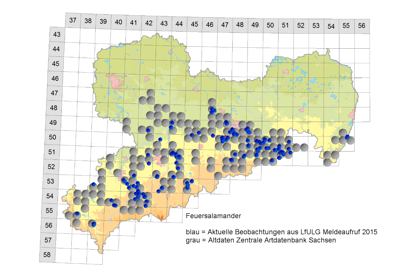 Ergebnisse der Meldeaktion Feuersalamander