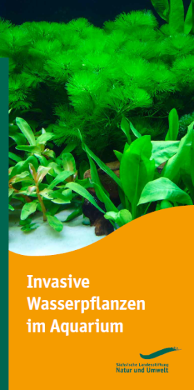 Titelseite des Faltblattes zu Invasiven Wasserpflanzen im Aquarium