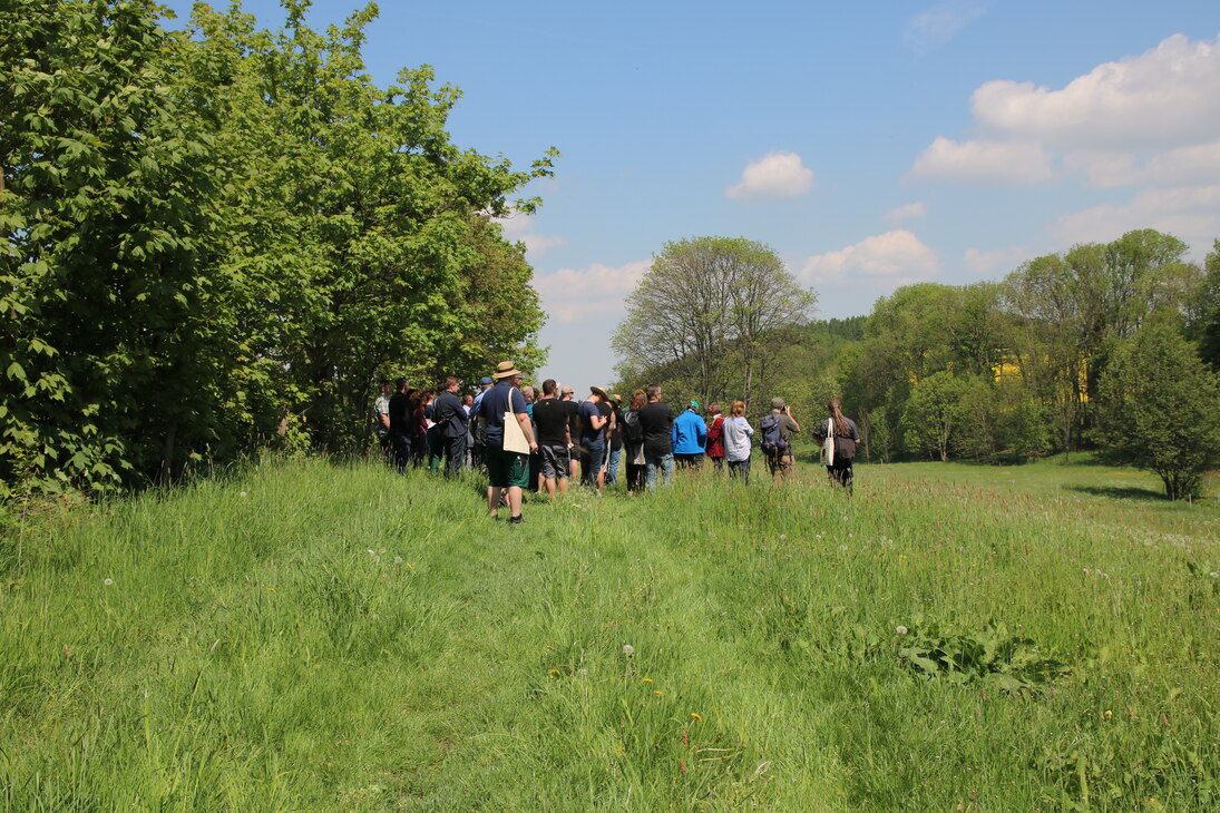 Foto von den Teilnehmern des Hoftages bei der Ortsbegehung. Alle stehen auf einer Wiese und betrachten die Landschaft.