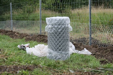 zeigt einen Zaun als Grabeschutz gegen den Biber