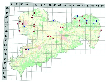 Raster mit Nachweisen der Gebänderten Heidelibelle aus den Jahren 2010 bis 2017