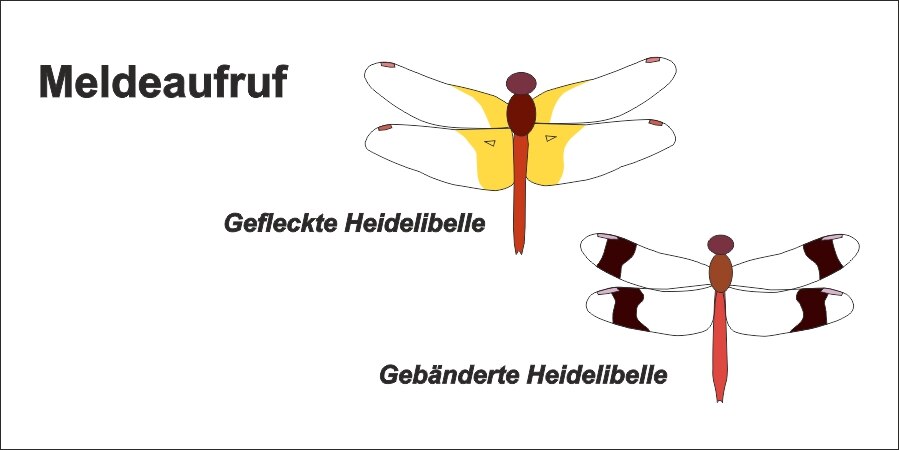 Meldeaufruf - Hier klicken