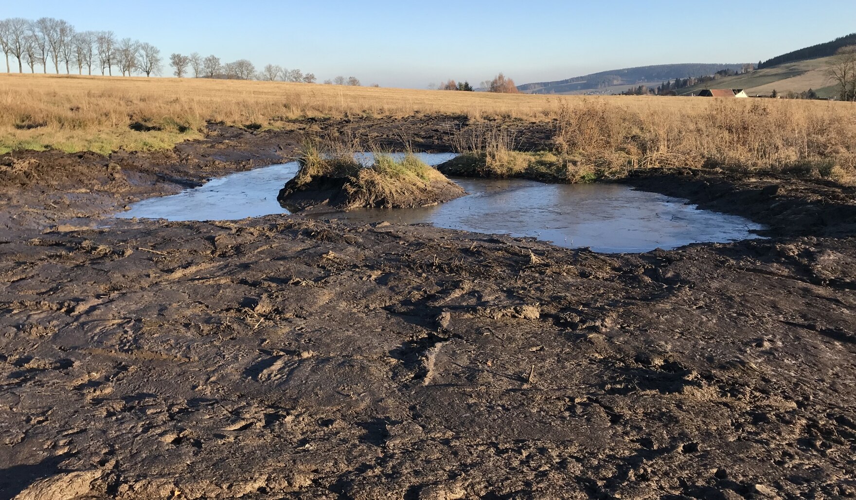 Auf einer Wiesenbrache in Crottendorf angelegter flacher Nahrungstümpel am 16.11.2018 (Foto: C. Scheinpflug)