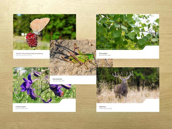 Collage der Postkarten-Motive für »Natur des Jahres«
