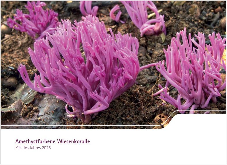 Weiße Elster - Flusslandschaft des Jahres 2020/21