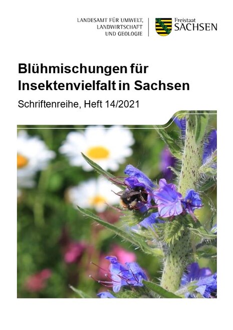 Link zum Abschlussbericht "Blühmischungen für Insektenvielfalt in Sachsen"