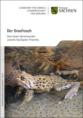 Die Abbildung zeigt die Titelseite der Grasfroschbroschüre