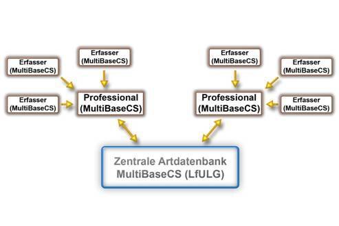 Grafik Artdatenbank (MultiBaseCS)