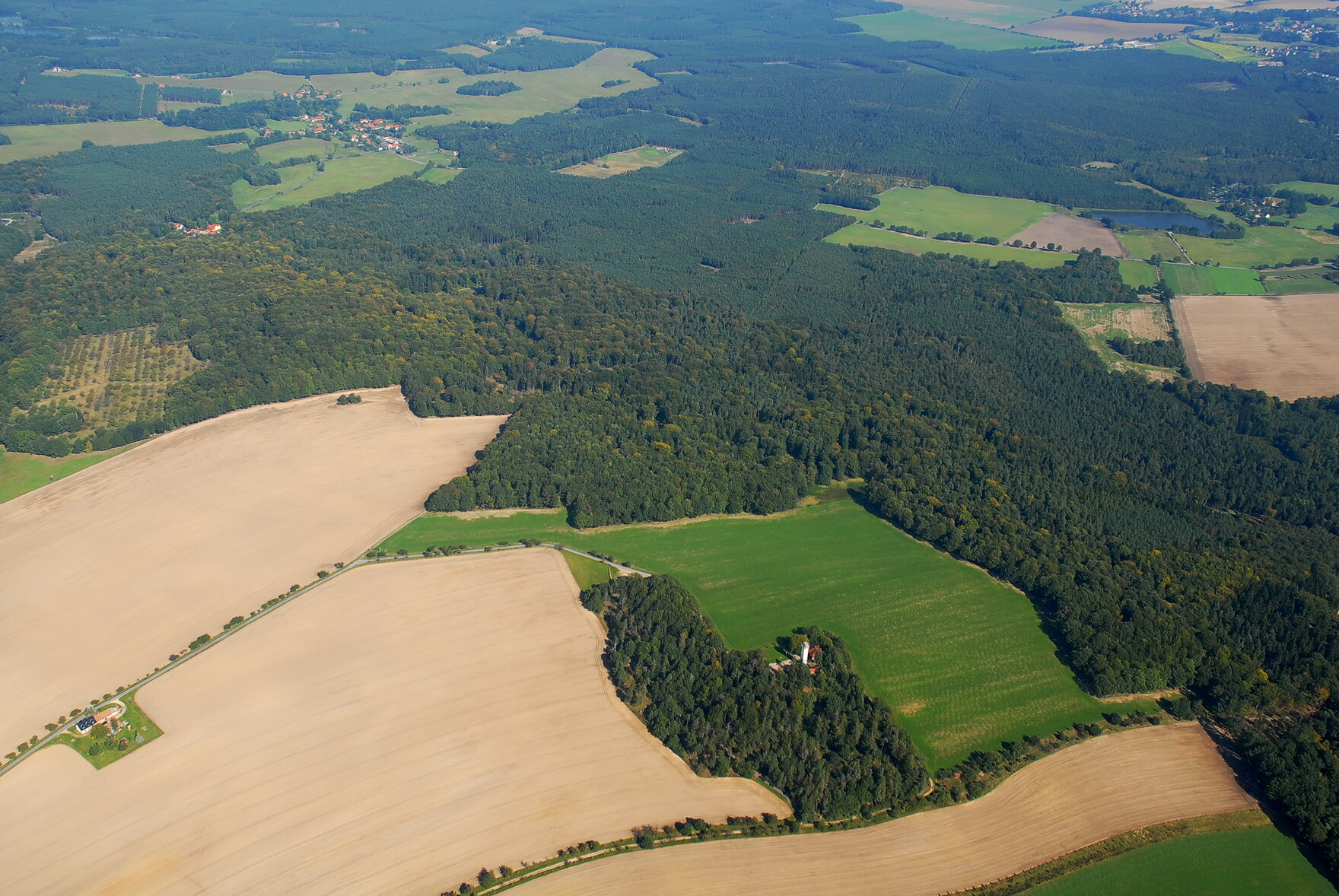 NSG Hohe Dubrau mit Naturentwicklungsfläche (Foto: Archiv Naturschutz LfULG, M. Höhne)