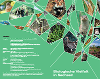 Flyer zur Biologischen Vielfalt in Sachsen 